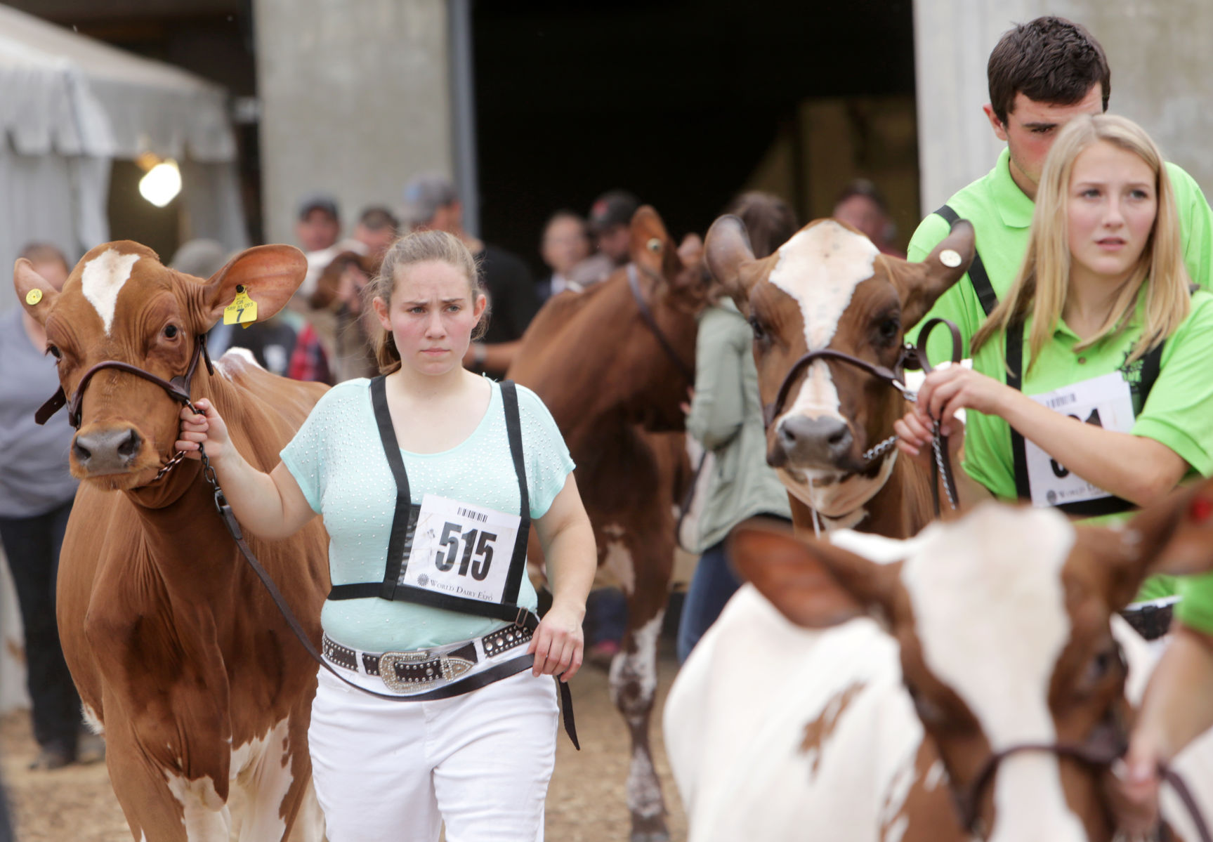 World Dairy Expo